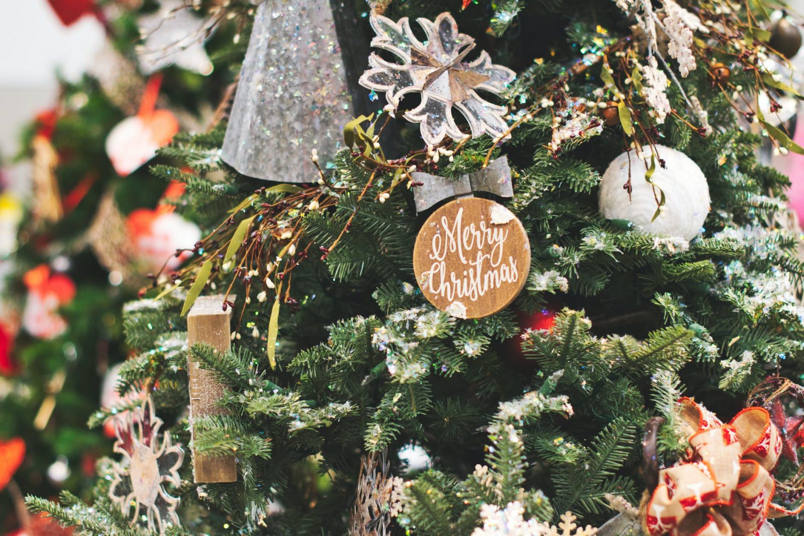 close up photo of christmas tree